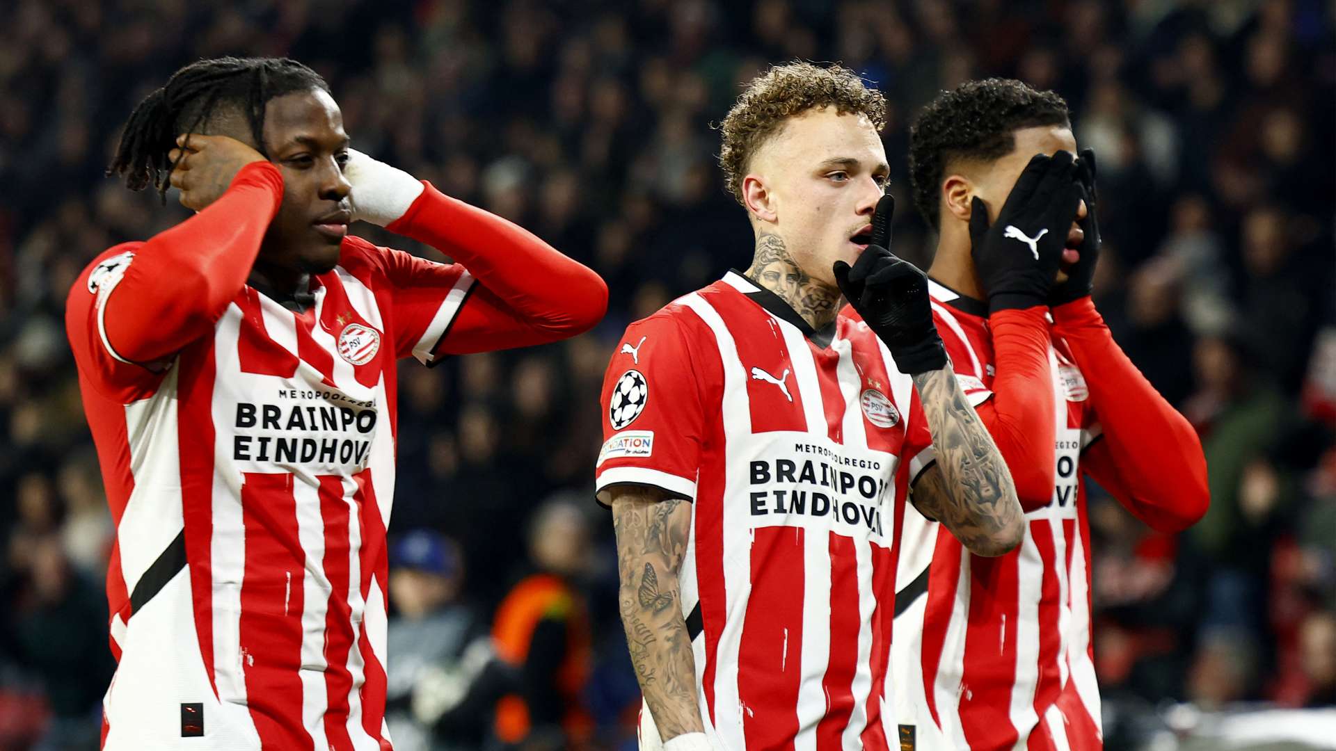 断进化的一 断进化的一